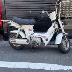 CF50シャリー中古の画像