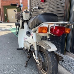 CF50シャリー中古の画像