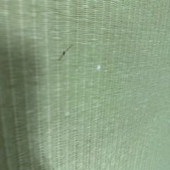 置き畳　和紙表の画像