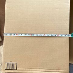 どでかいダンボールの画像
