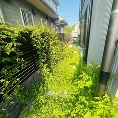 ※庭の草むしり【管理】 − 愛知県