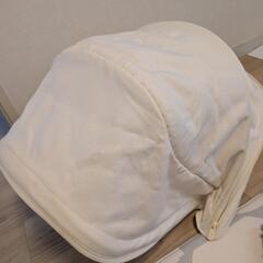 バガブー　ビー６の画像