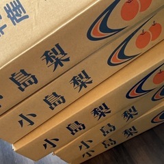 幸水梨　梨　8玉セット　サービス品の画像