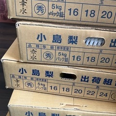 幸水梨　梨　8玉セット　サービス品の画像