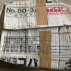 木曽石 コバ No.80-3A ホワイト 33枚 庭石にの画像