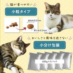 キャットフード　新品未開封　AIM30 猫　フード　カリカリの画像