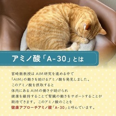 キャットフード　新品未開封　AIM30 猫　フード　カリカリの画像