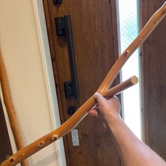 天然木　自由に使える　2本の木の画像