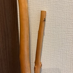 天然木　自由に使える　2本の木の画像