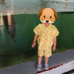 95cm【盆踊り、夏祭り、秋祭りに】ピカチュウ甚平 ポケモン キャラクターの画像