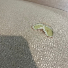 ソファ　2人　北欧風の画像