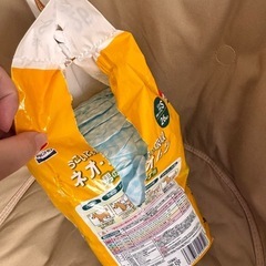 犬用オムツの画像