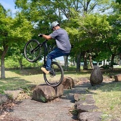 HARO スチールリザーブ　ストリートトライアル仕様
の画像