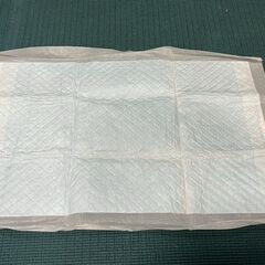 業務用ペットシーツ超薄型300枚の画像