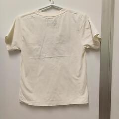 8-041-2 子供　Ｔシャツ#831の画像