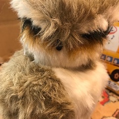 フクロウ おもちゃの画像