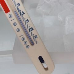 学生　単身者　引越しが多い方に最適な　小型な２ドア冷蔵庫　中古の画像
