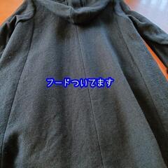 エヴーの画像