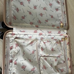 キャリーケース　ACE HaNTの画像
