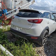 マツダcx-3 Lパッケージの画像