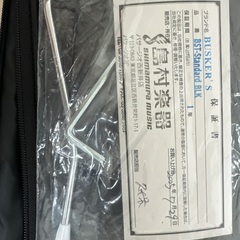 BUSKER’S BST-Standard エレキギター 付属品多数の画像