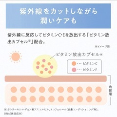 【新日本製薬】UVプロテクトパウダー (SPF50＋ PA+++) USED品の画像