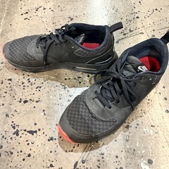 NIKE エアマックスの画像