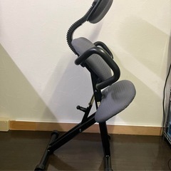 バランスチェア 4段階　背もたれ 手すり付き の画像