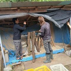 使って見て下さい!!白色腐朽菌に朽ちた産卵材ですの画像