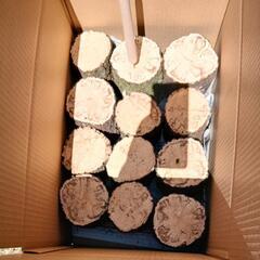 使って見て下さい!!白色腐朽菌に朽ちた産卵材ですの画像