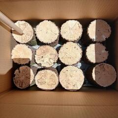 使って見て下さい!!白色腐朽菌に朽ちた産卵材ですの画像