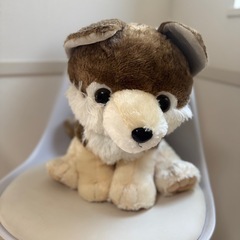 大きなモフっとオオカミの画像