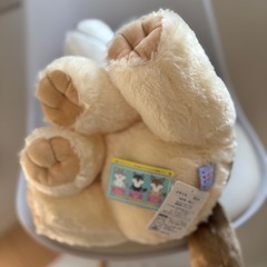 大きなモフっとオオカミの画像