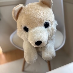 大きなモフっとオオカミの画像