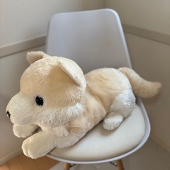大きなモフっとオオカミの画像