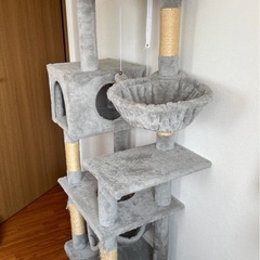キャットタワーの画像