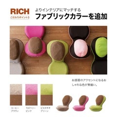 【新品】背筋がGUUUN 美姿勢座椅子リッチ専用カバーの画像