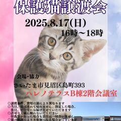 【さいたま市見沼区】8/17(日)ハレノテラス保護猫譲渡会