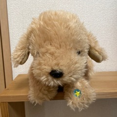おしゃべりせんせい　レトリバー
の画像