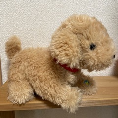 おしゃべりせんせい　レトリバー
の画像