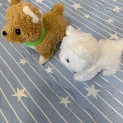 電池で動くぬいぐるみの画像