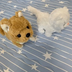 電池で動くぬいぐるみの画像