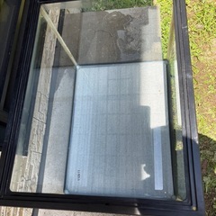 60cmワイド
水槽の画像