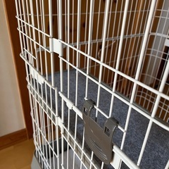 猫　大型ケージ　引き取り希望の画像