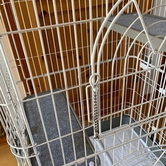 猫　大型ケージ　引き取り希望の画像