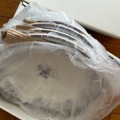 カレー＆パスタ皿の画像