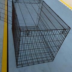 犬屋の画像
