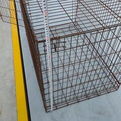 犬屋の画像
