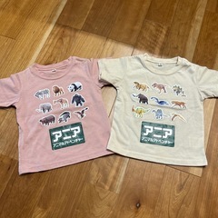 90cmおまとめの画像