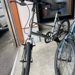 ブルーノミニベロの画像